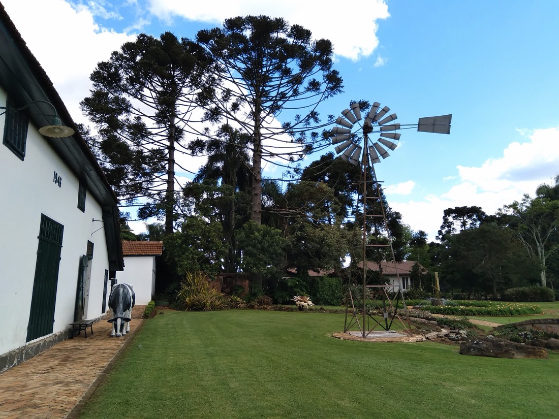 Cata-vento e araucárias no parque